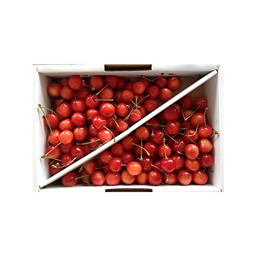 Amazon.co.jp: 山形県産 さくらんぼ 佐藤錦 M・L 1kg バラ詰め[ｻｸﾗﾝﾎﾞ